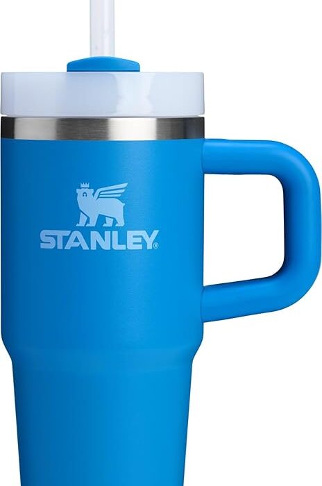 Stanley Quencher H2.0 FlowState Tumbler Review: The Viral Water Bottle That Revolutionized Hydration and Became America’s Obsession